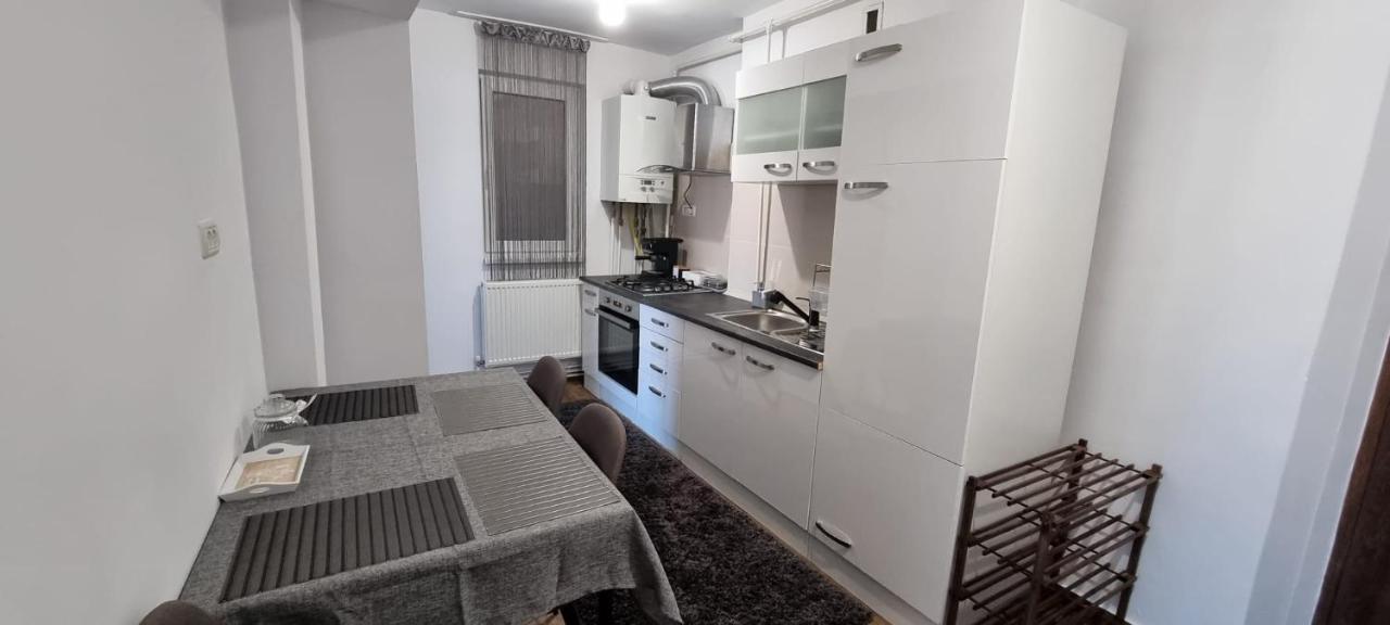 Dacia Apartment Timişoara Exterior foto