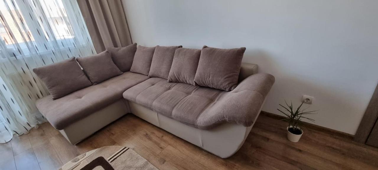 Dacia Apartment Timişoara Exterior foto