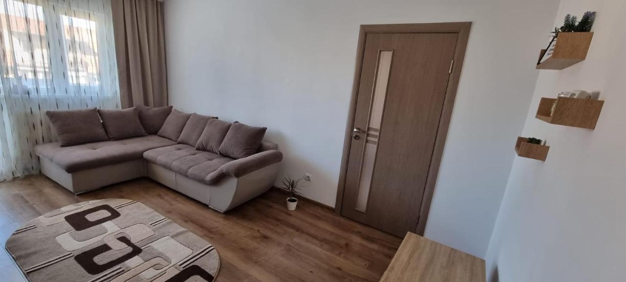 Dacia Apartment Timişoara Exterior foto