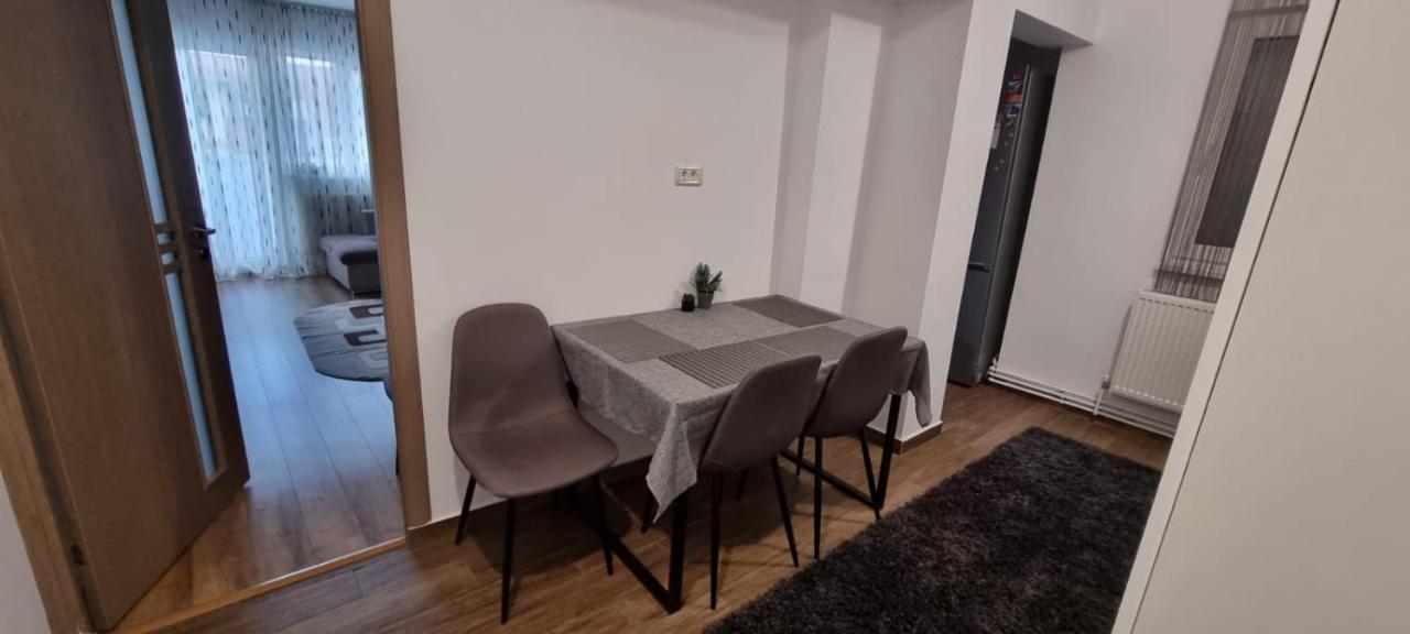 Dacia Apartment Timişoara Exterior foto